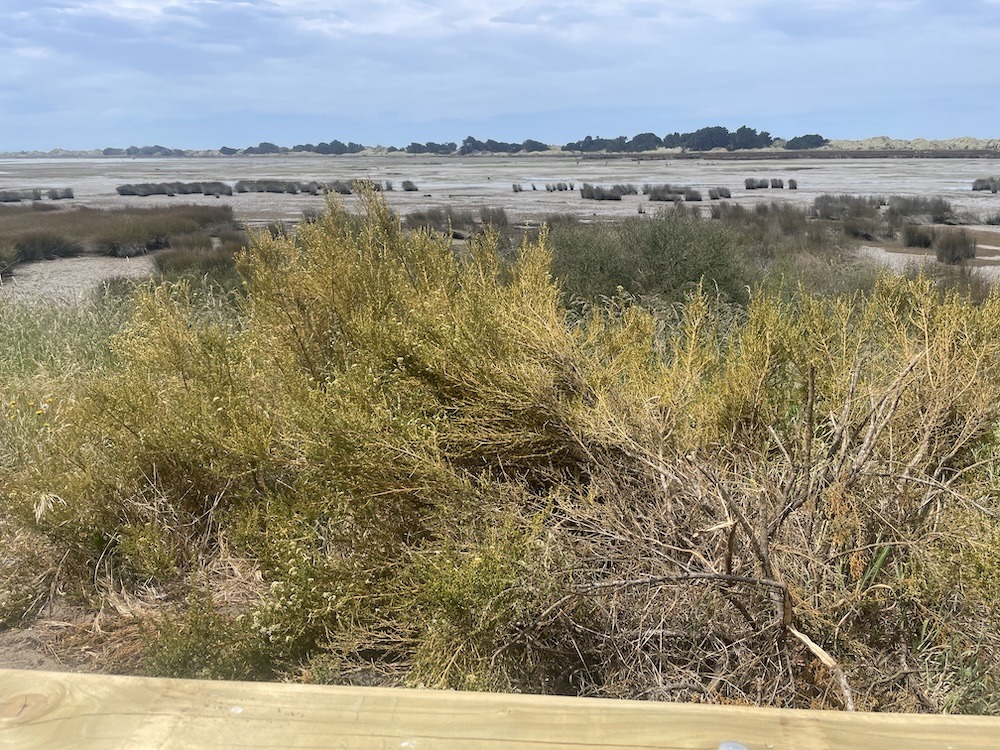 Day 3 – Gravel, Wetlands, and Coastline