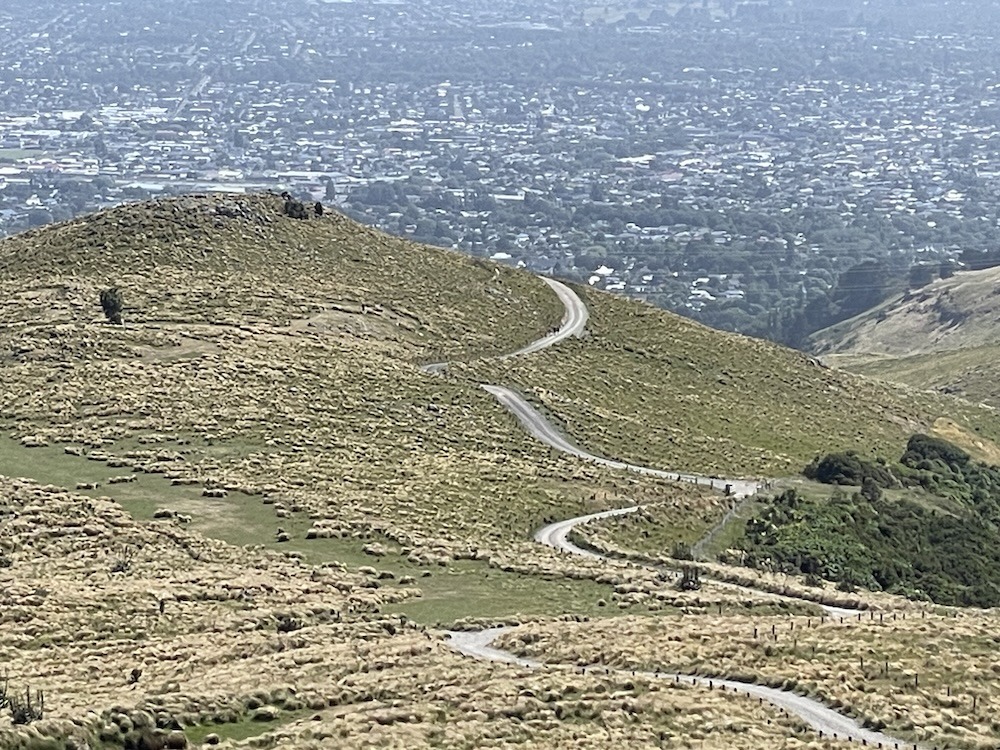 Day 4 – Summit Rd in Reverse