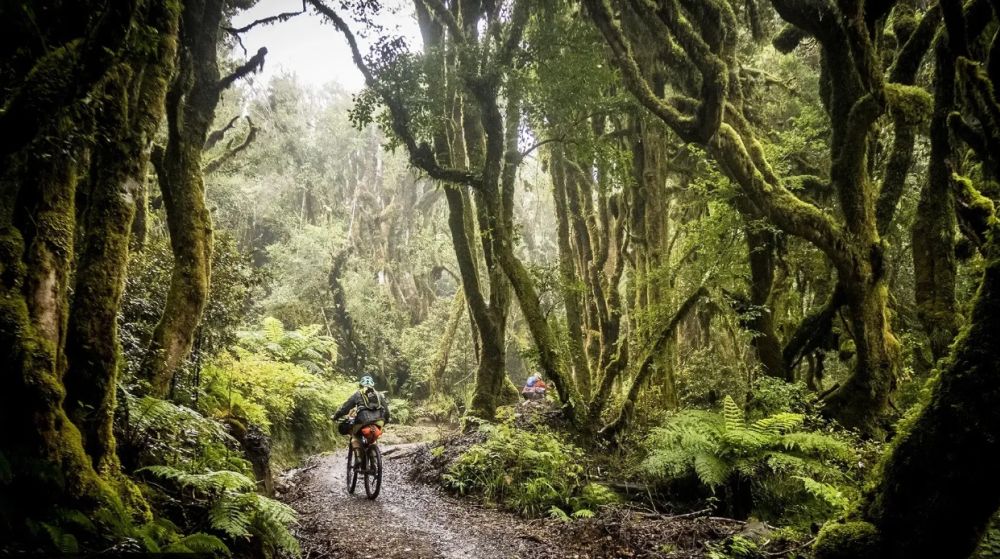 Travel Preparation – New Zealand